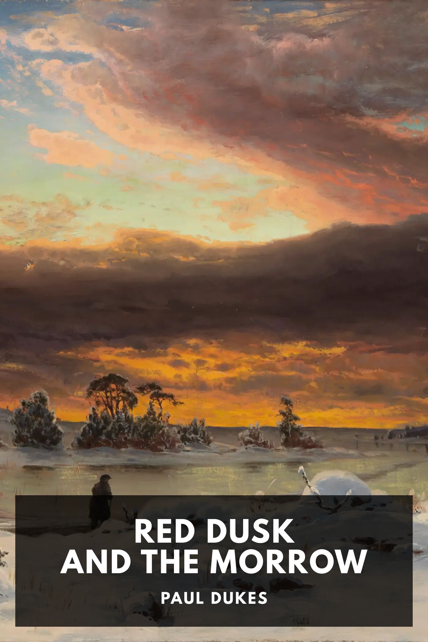 Red Dusk and the Morrow: Adventures and Investigations in Red Russia